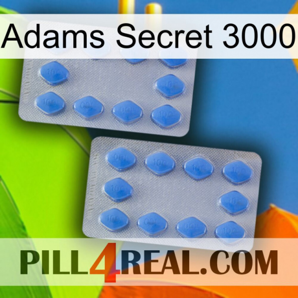 Adams Secret 3000 20.jpg